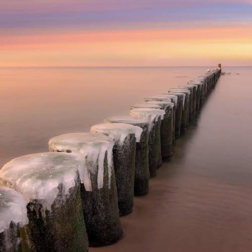 Gérer l’exposition tout en lissant la matière : le duo ND + GND en action ⚙️
📸 @kat.de.kat 

Face à ce fort contraste entre l’horizon au lever du soleil et les poteaux givrés au premier plan, la plage dynamique dépasse les capacités du capteur. Ici, l’utilisation d’un filtre GND Soft est impérative. Il permet de retenir les hautes lumières du ciel pour équilibrer l’exposition sans boucher les ombres sur le bois sombre.

La technique ? Le stacking de filtres. En plus du GND, un filtre ND a été ajouté pour casser la vitesse d’obturation et obtenir ce lissage parfait de la mer Baltique. 

💠L’avantage du système Kase (notamment magnétique) est de pouvoir empiler ces deux filtres sans vignetage ni perte de piqué. 

💠Sur une scène hivernale la neutralité des verres Wolverine est cruciale : elle garantit qu’aucune dominante magenta ne vient polluer la blancheur de la glace.

📍Mielno, Mer Baltique 

#teamkase #kasefiltersfrance #kasefiltersglobal