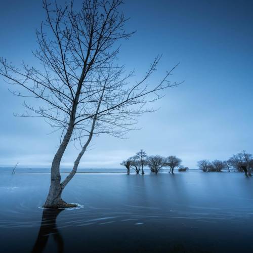 Le combo ND + GND pour sublimée la montée des eaux.

📸 @tatiana.mgn 

Pour lisser la surface du lac et isoler cet arbre dans une ambiance minimaliste, l’empilement de filtres (staking) est la solution. 
💠 Le ND64 permet d’atteindre 20s de pose pour adoucir l’eau
💠 Le GND 0.9 vient retenir la luminosité du ciel nuageux.

L’avantage du système magnétique Kase ? 
Vous superposez ces deux verres instantanément.
Le résultat : une exposition équilibrée dès la prise de vue, un piqué chirurgical sur les branches dénudées, et aucune dérive colorimétrique sur cette ambiance bleutée grâce aux verres Wolverine.

📍Gastes, Aquitaine 
📷 Canon RP
🎛️ 12mm • 20s • f/11
🪟Kase Wolverine ND64 + GND 0.9